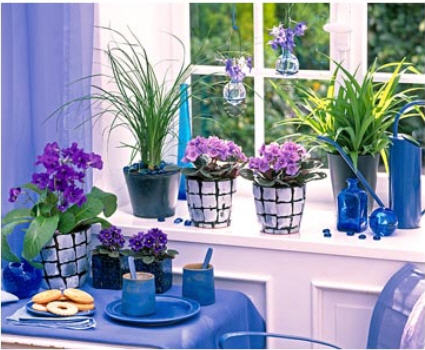 Làm duyên cho bệ cửa sổ với cây và hoa - Archi
